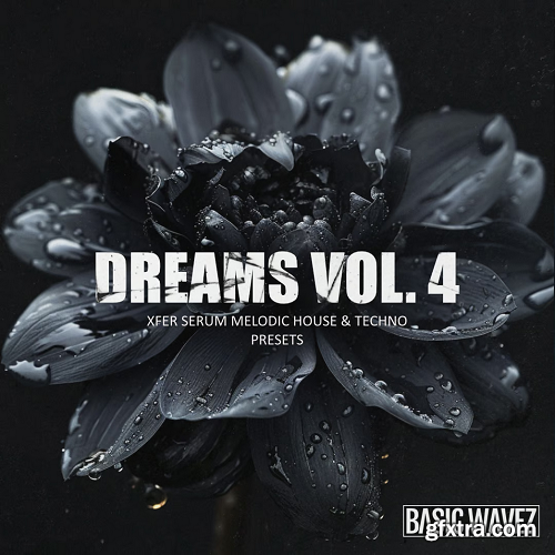 Basic Wavez Dreams Vol 4 Melodic House and Techno Presets for Serum (Platinum)