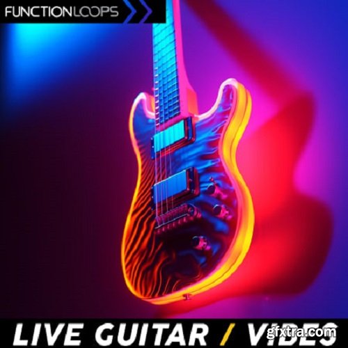 Function Loops Live Guitar Vibes