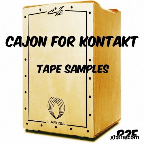 PastToFutureReverbs P2F Cajon for KONTAKT