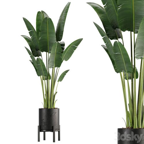 indoor plant set 01