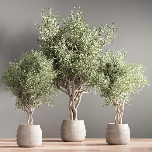 indoor plant stand 39