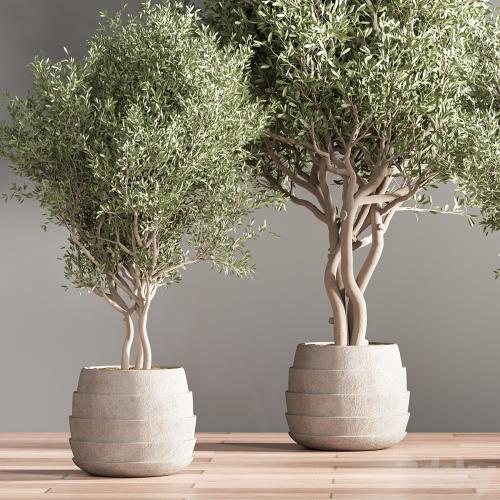 indoor plant stand 39