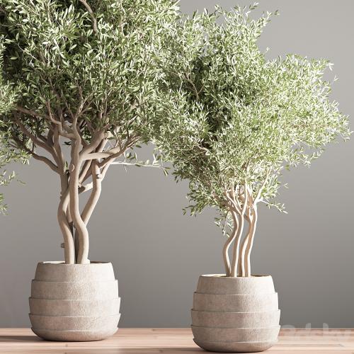 indoor plant stand 39