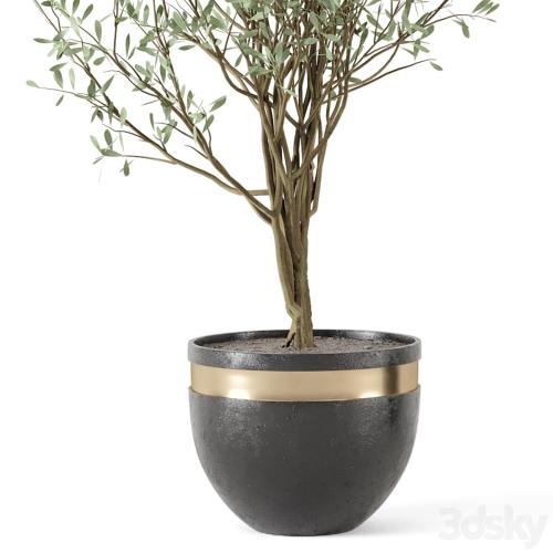 Outdoor bush and Tree in rusty Concrete Pot - Set 204