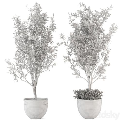 Outdoor bush and Tree in rusty Concrete Pot - Set 204