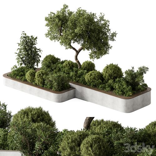 Plant Box - Outdoor Plants 588