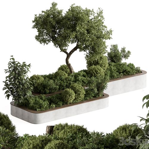 Plant Box - Outdoor Plants 588