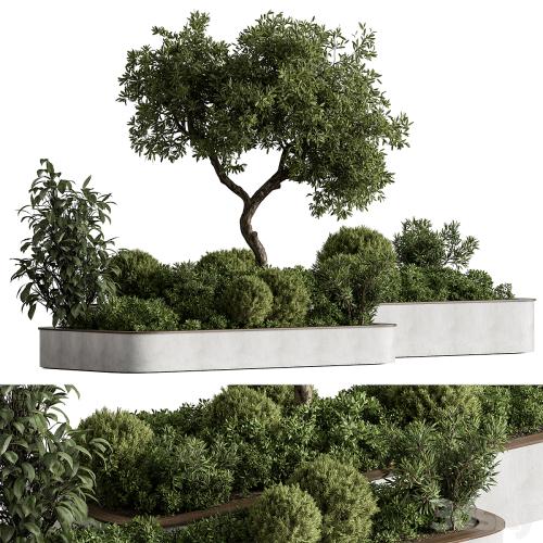 Plant Box - Outdoor Plants 588