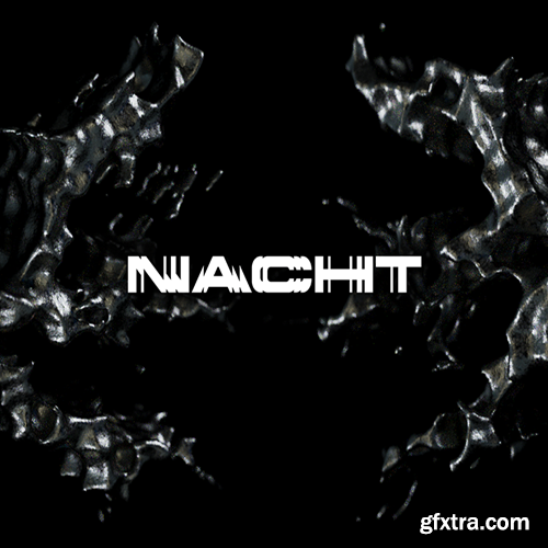 Native Instruments Play Series Nacht