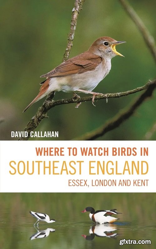 Where to Watch Birds in Southeast England: Essex, London and Kent