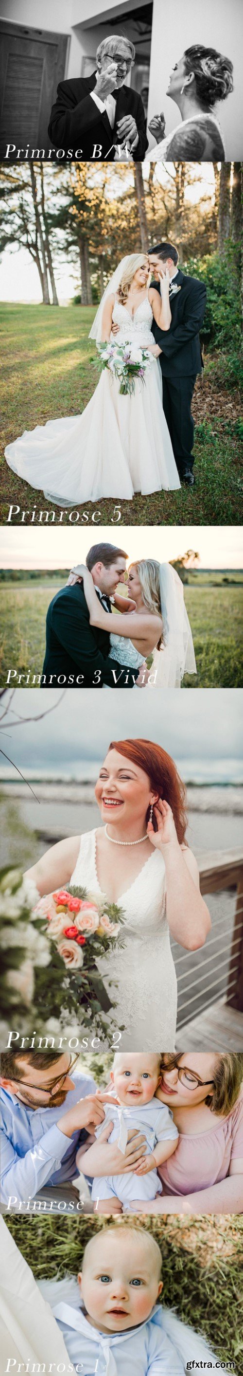 LIGHTROOM DESKTOP Primrose Preset Pack (6 Presets)