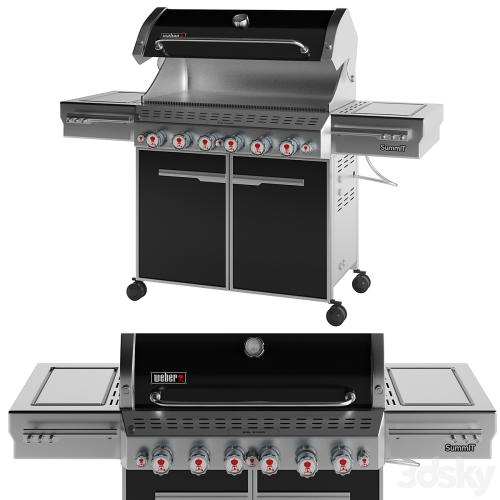 Outdoor Gas Grill