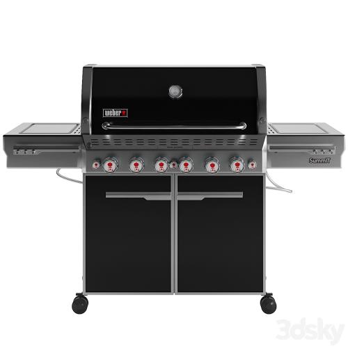 Outdoor Gas Grill