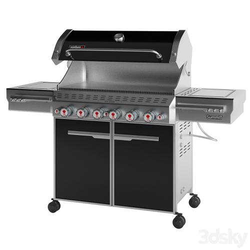 Outdoor Gas Grill