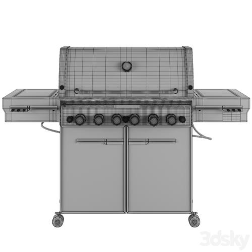 Outdoor Gas Grill