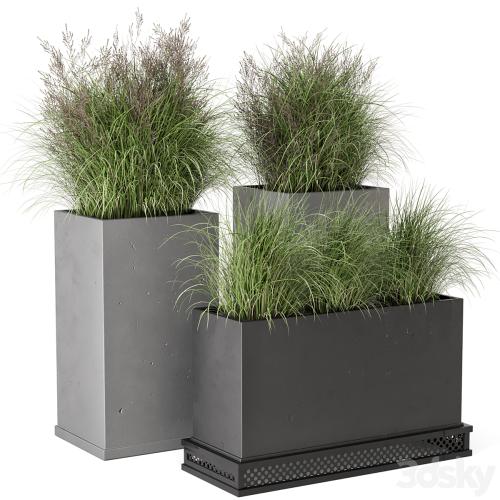 Outdoor Plants Bush in rusty Concrete Pot - Set 665