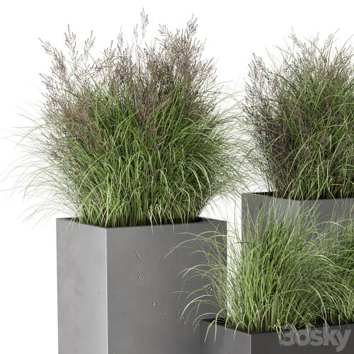 Outdoor Plants Bush in rusty Concrete Pot - Set 665