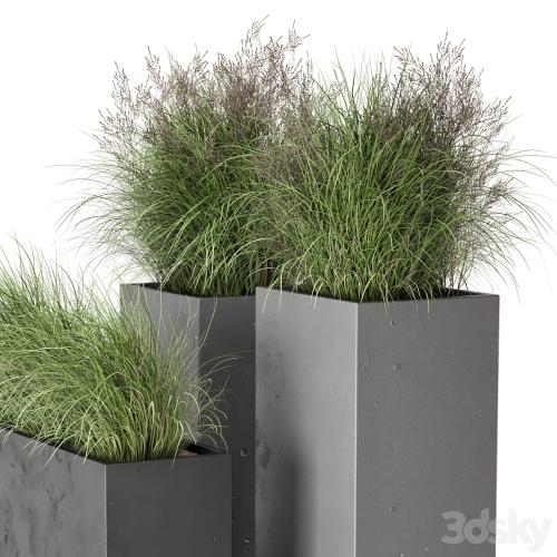 Outdoor Plants Bush in rusty Concrete Pot - Set 665