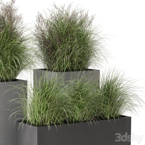 Outdoor Plants Bush in rusty Concrete Pot - Set 665