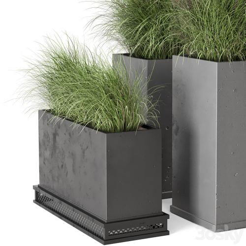 Outdoor Plants Bush in rusty Concrete Pot - Set 665