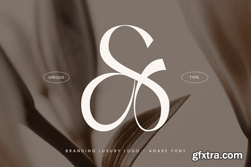 Agare - Branding Luxury Font HDZYWT7