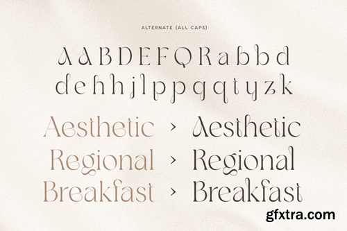 Agare - Branding Luxury Font HDZYWT7