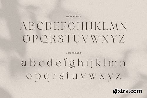 Agare - Branding Luxury Font HDZYWT7