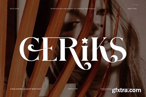 Ceriks Elegant Serif Font 26GHEMF