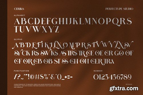 Ceriks Elegant Serif Font 26GHEMF