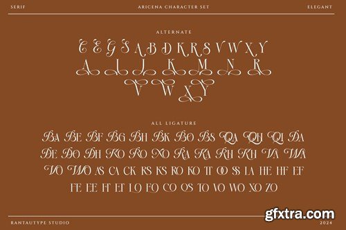 Aricena Elegant Serif Font BFQC52P