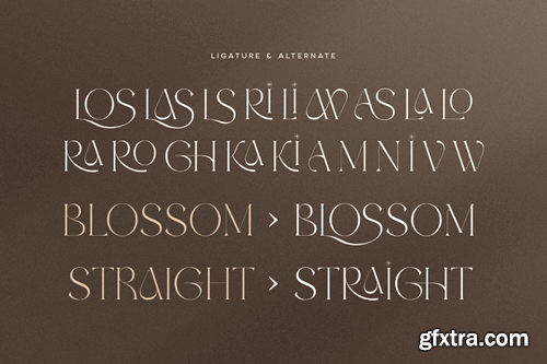 Glossy - Modern Elegant Luxury Font NZM6AZB