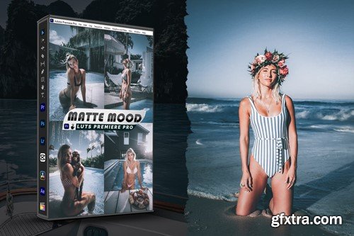 Matte Mood Presets - luts Video Premiere Pro TUFCRDJ