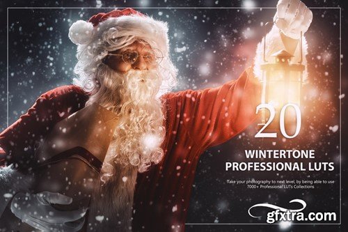 20 Wintertone LUTs Pack FHT5XSM