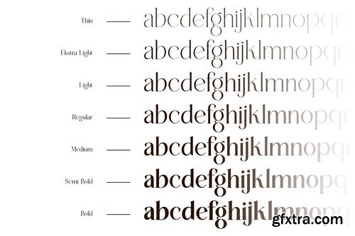 Vogre Gustews - New Serif Family U28RKN6