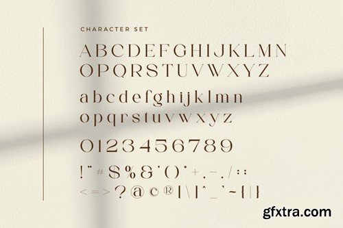 Emotte Elegant Serif Font RLMHZQ7