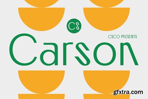 CS Carson – Contemporary Font NRP3P3E