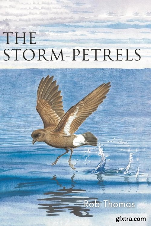 The Storm-petrels