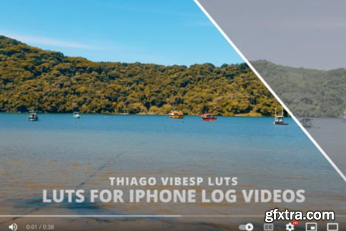 Apple IPhone Pro Max LUTs Log Videos