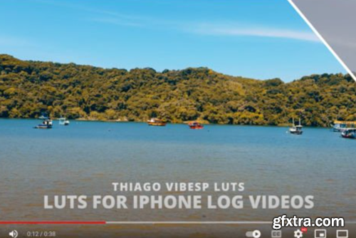 Apple IPhone Pro Max LUTs Log Videos