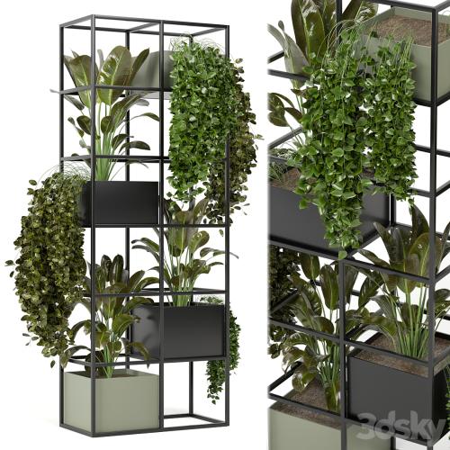 indoor plants in rusty concrete pot on metal shelf - Set 122