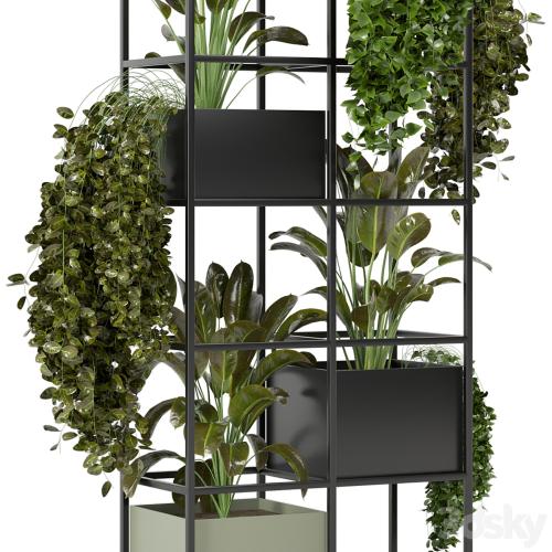 indoor plants in rusty concrete pot on metal shelf - Set 122