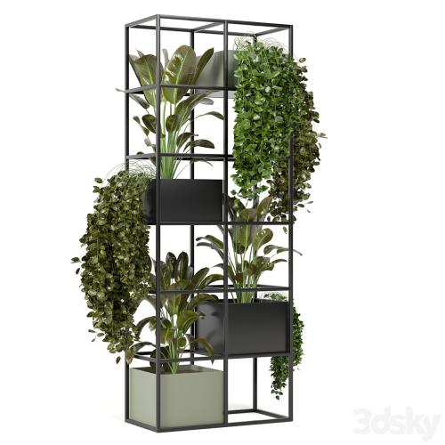 indoor plants in rusty concrete pot on metal shelf - Set 122