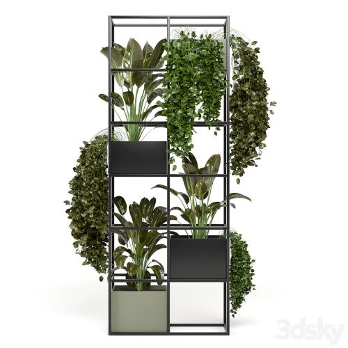 indoor plants in rusty concrete pot on metal shelf - Set 122