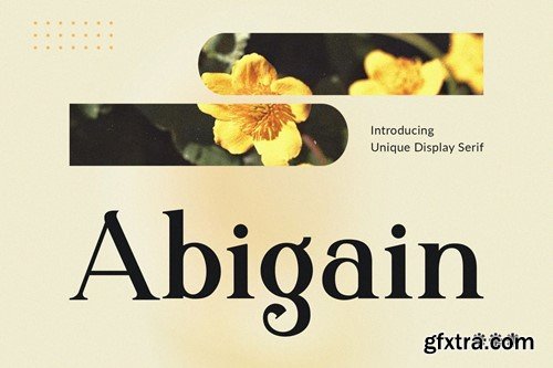 Abigain - Unique Display Serif Font BH9B5G2