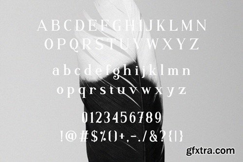 Abigain - Unique Display Serif Font BH9B5G2