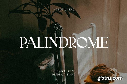 Palindrome Elegant Serif Display Font YAD6A3Q