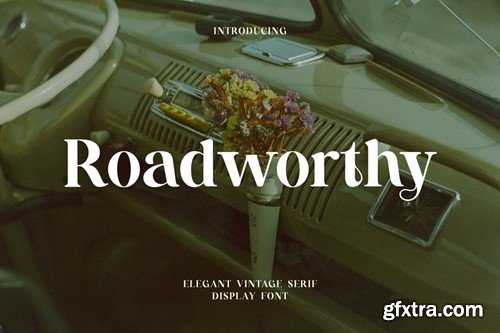 Roadworthy Elegant Vintage Serif Display Font RRJLJZR