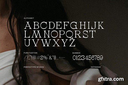 Mogist Elegant Serif Font 7HG5HXD