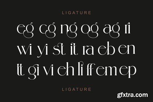 Ringtte Modern Ligature Serif 3JW9MD3