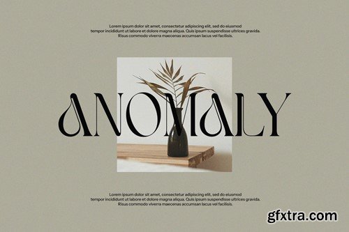 Havko Elegant Serif Font CZRV262